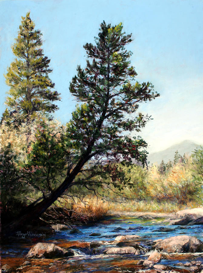 Rocky Mountain National Park Painting - Tree Yoga by Mary Giacomini