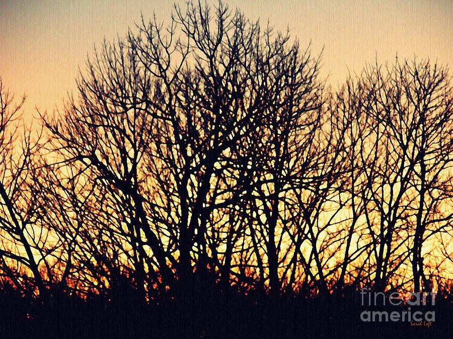 Treebone Sunrise 2 Photograph by Sarah Loft