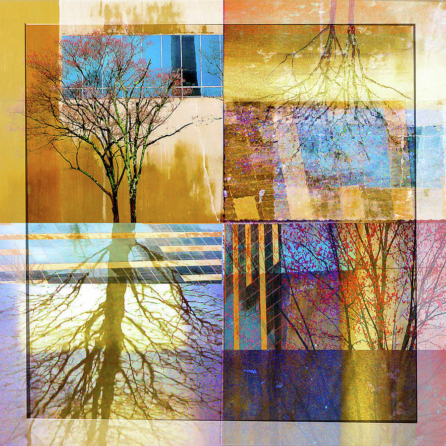 TreeCollage Digital Art by Rochelle Berman
