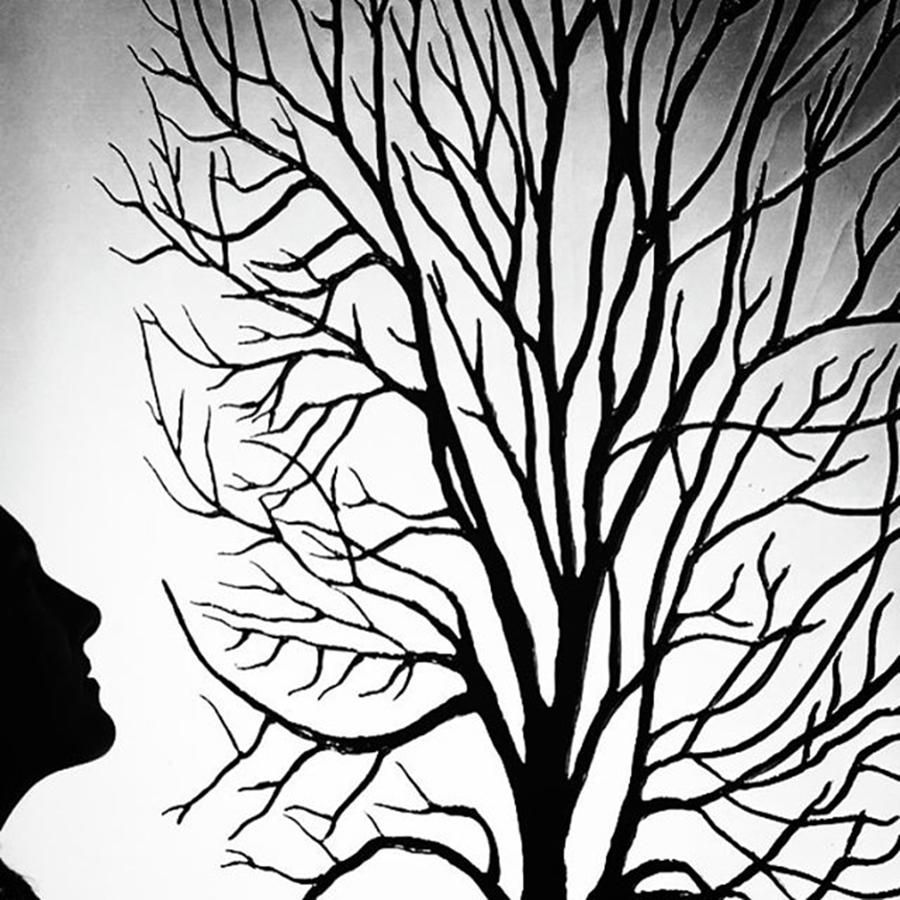 Sillouette Photograph - Treedreams By @pauldalsasso_images by Paul Dal Sasso Sillouette Photograph - Treedreams By @pauldalsasso_images by Paul Dal Sasso
