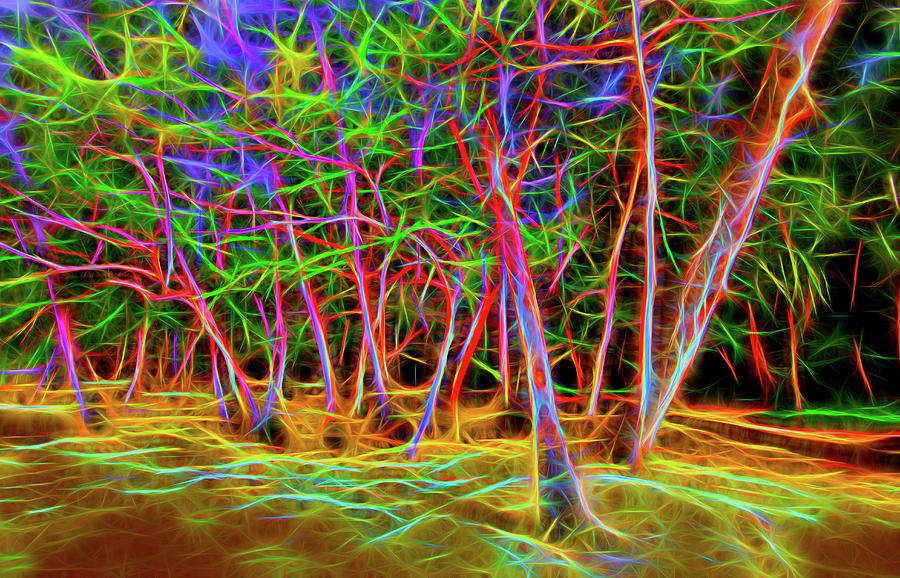 Trees aglow Digital Art by Sharon Ann Sanowar