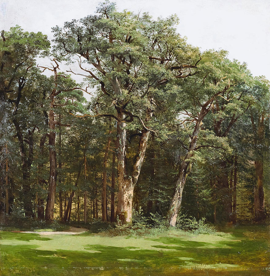 Alexandre Calame Painting - Trees by Alexandre Calame