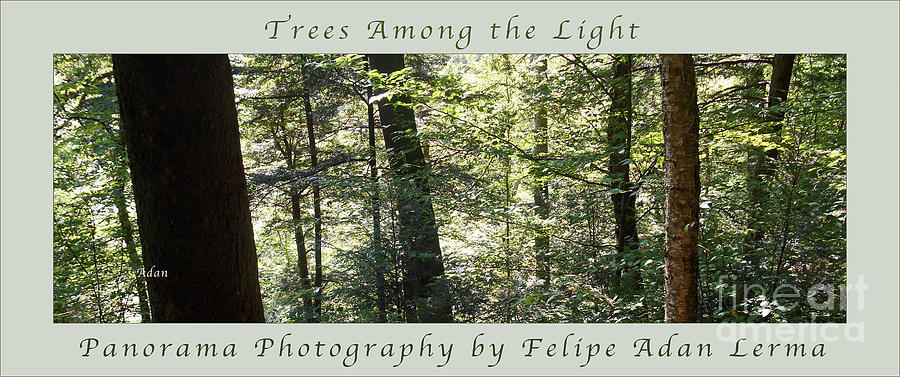 Trees Among the Light Bingham Falls Vermont Panorama Poster Photograph by Felipe Adan Lerma