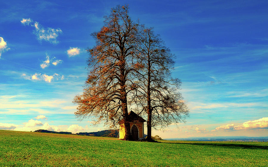 Trees And Chapel Photograph by Mountain Dreams