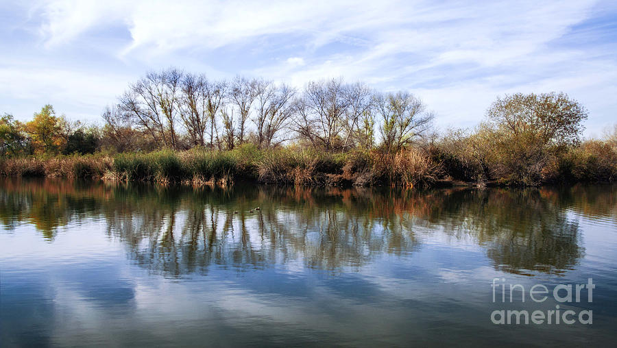 Trees and Clouds Reflection on Wildlife Reserve Pond Photograph by Jerry Cowart