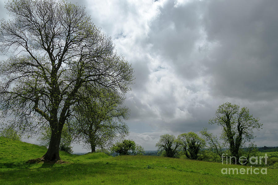 Trees and cloudy sky, Navan Fort, Emain Macha, N. Ireland Photograph by Patrick McGill
