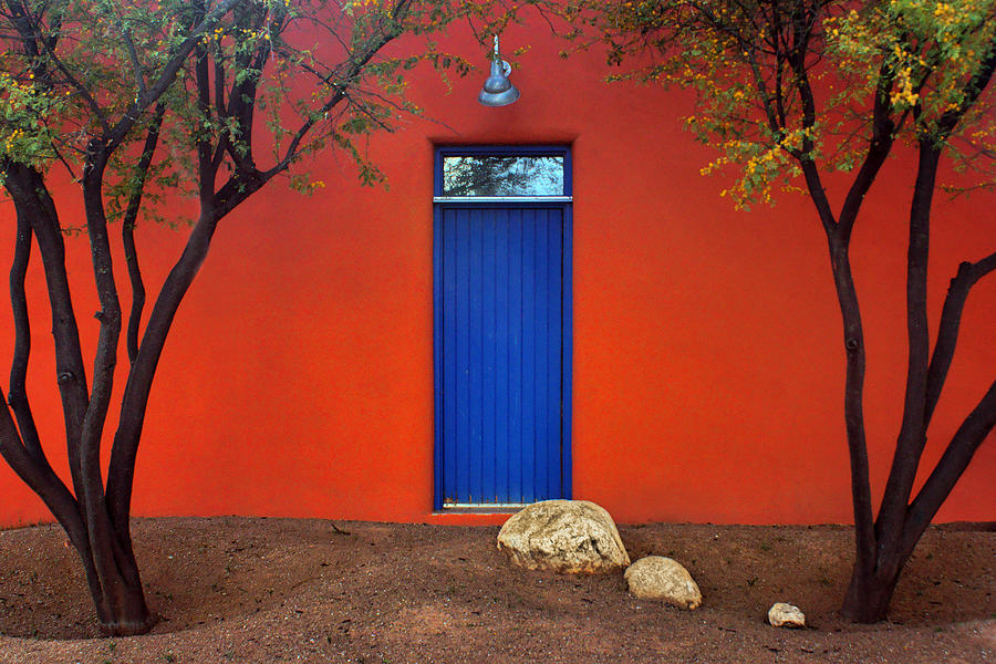 Trees and Door - Barrio Historico - Tucson Photograph by Nikolyn McDonald