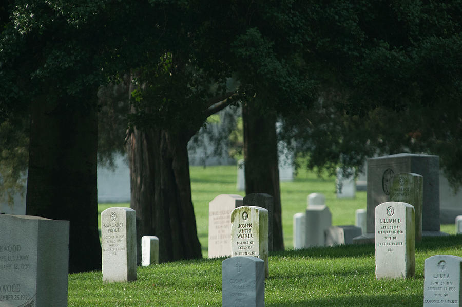 Trees And Gravestones Photograph by Brian Green