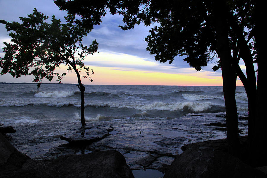 Trees and Lake Erie Photograph by Angela Murdock
