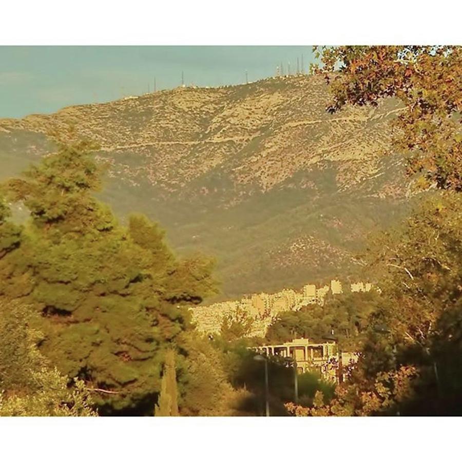 Summer Photograph - Trees And Mountain In Athens by Emmanuel Varnas