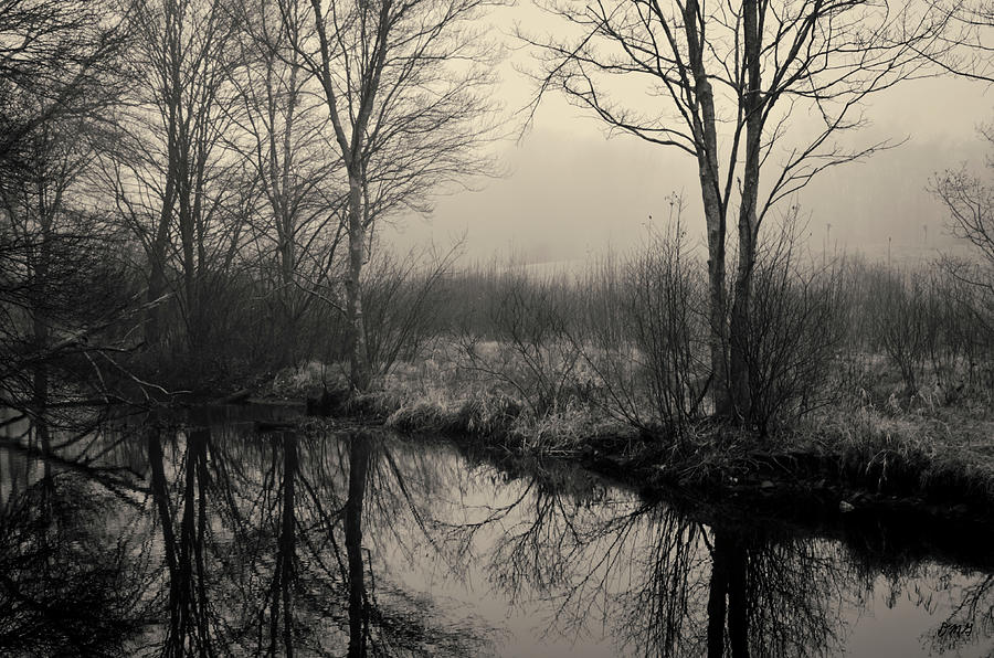 Trees And Reflections No.2 Photograph by David Gordon