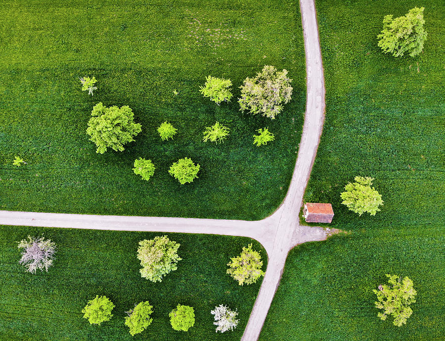 Trees and roads from above Drone Photography Photograph by Matthias Hauser