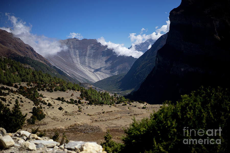 Trees and snowcapped peak at background in the Himalaya mountains, Nepal by Raimond Klavins Trees and snowcapped peak at background in the Himalaya mountains, Nepal by Raimond Klavins