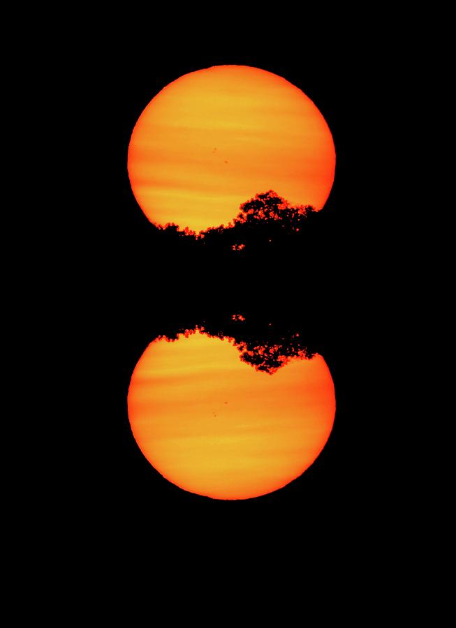 Trees And Sunspots Four  Digital Art by Lyle Crump