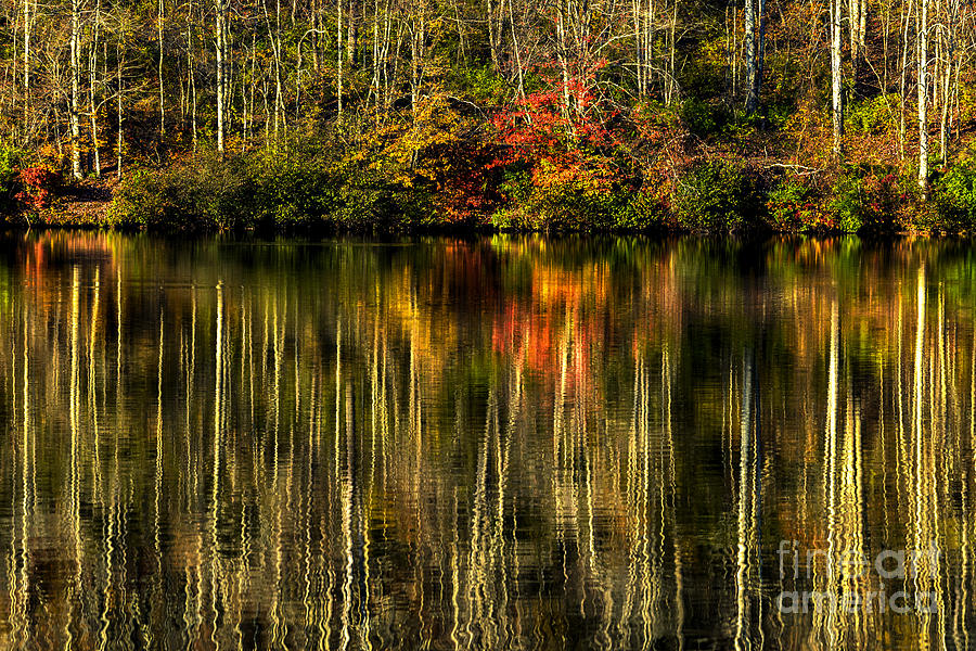 Trees and Their Reflection Photograph by Thomas R Fletcher