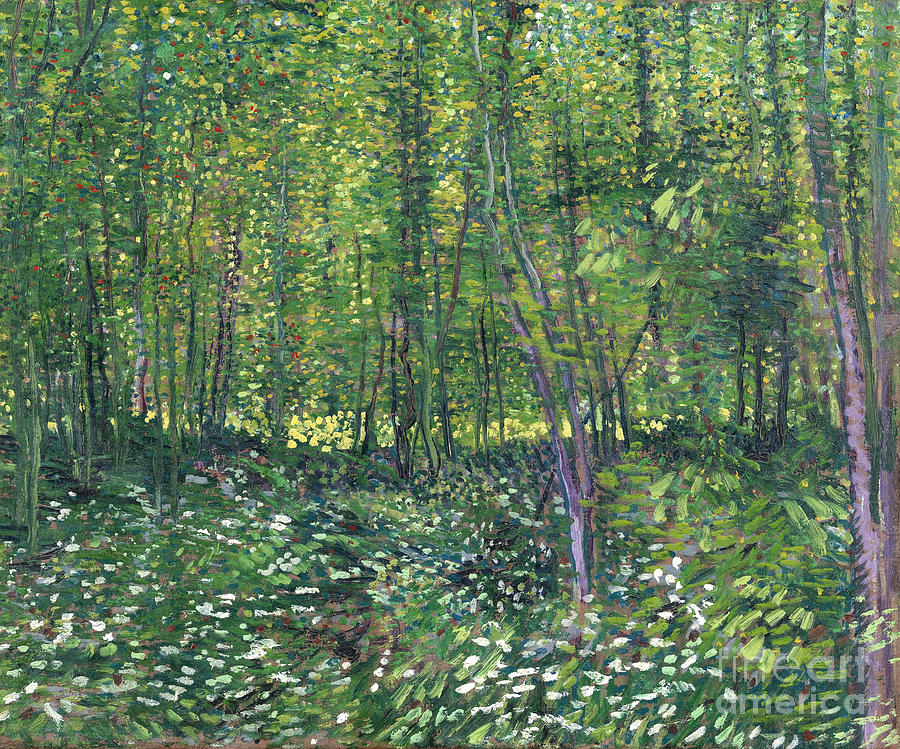 Trees and undergrowth Painting by Van Gogh