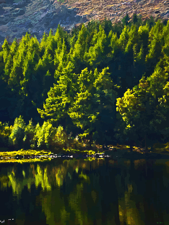 Trees by Blea Tarn Photograph by Brian Shaw - Fine Art America