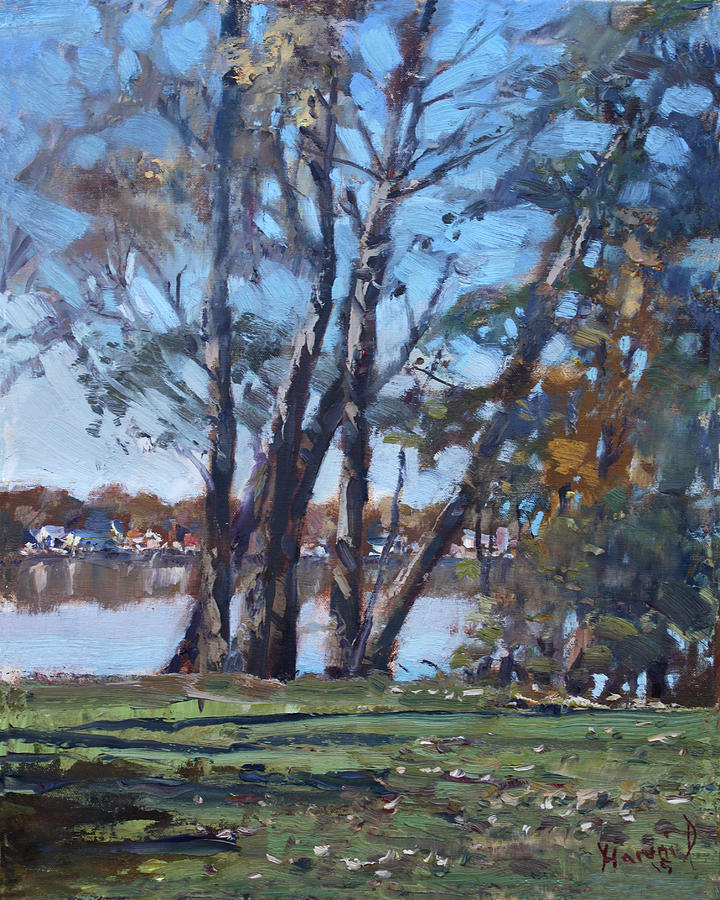 Tree Painting - Trees by the River by Ylli Haruni