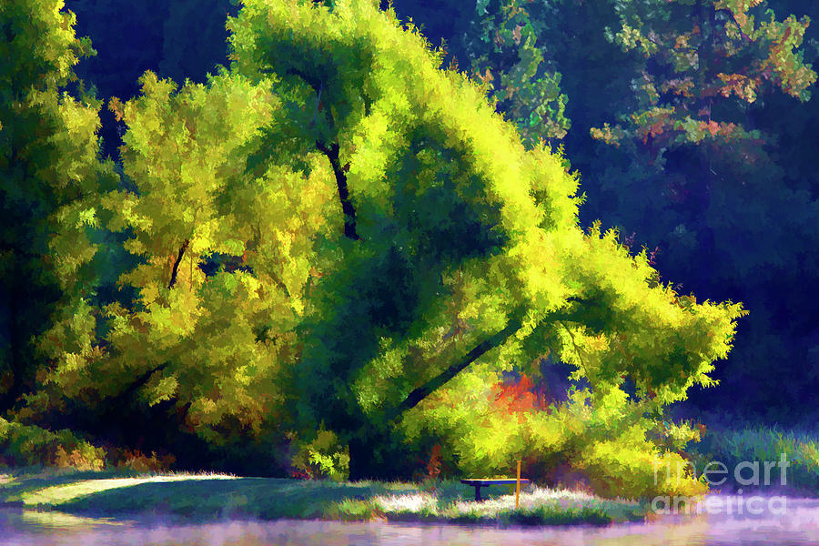 Trees Color Landscape Pond  Digital Art by Chuck Kuhn