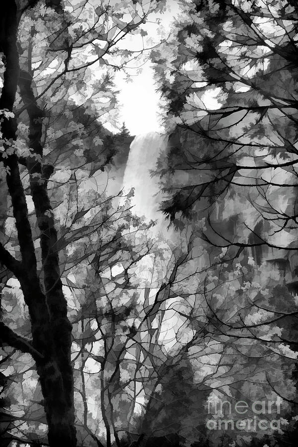 Trees Cover Falls Yosemite BW Digital Art by Chuck Kuhn