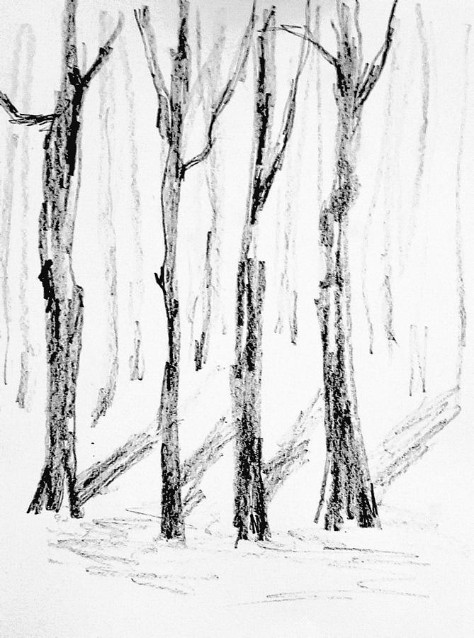 Trees from backyard  Drawing by Hae Kim