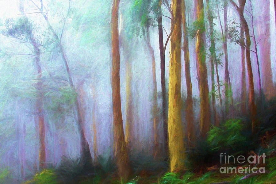 Trees in mist Photograph by Sheila Smart Fine Art Photography
