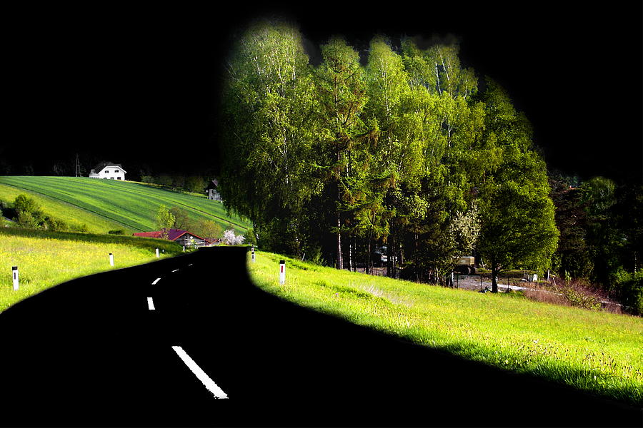 Tree Photograph - Trees In Upper Austria by Sascha Meyer Tree Photograph - Trees In Upper Austria by Sascha Meyer
