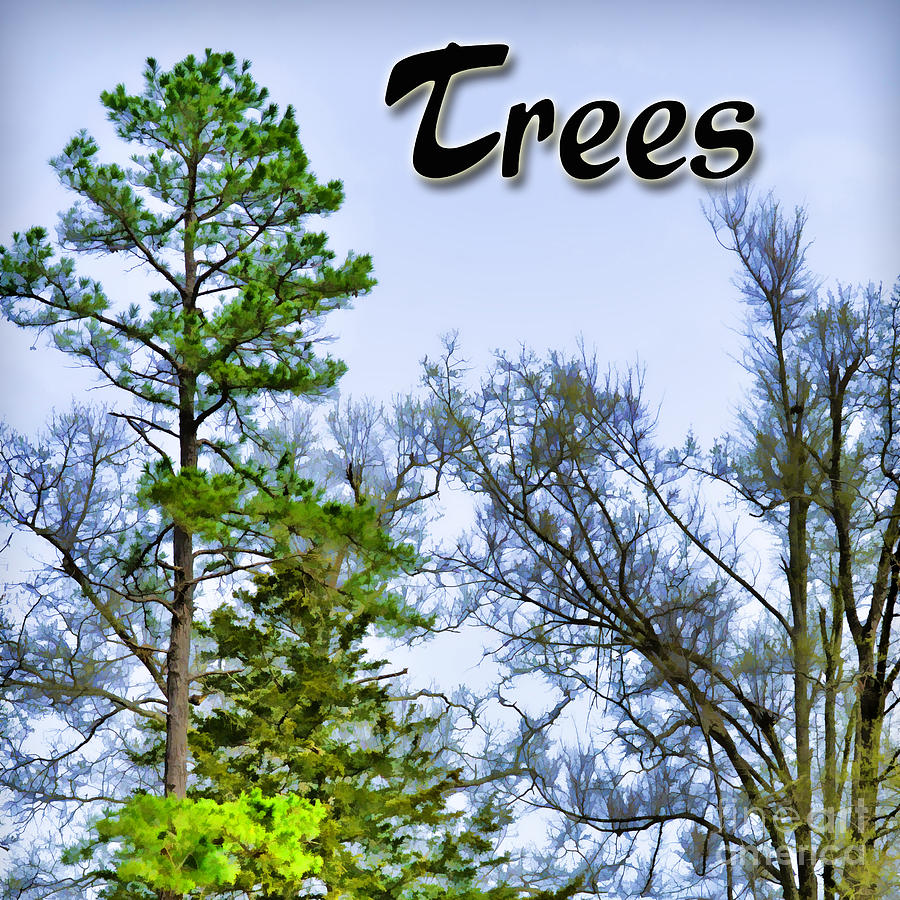 Trees LOGO Photograph by Debbie Portwood