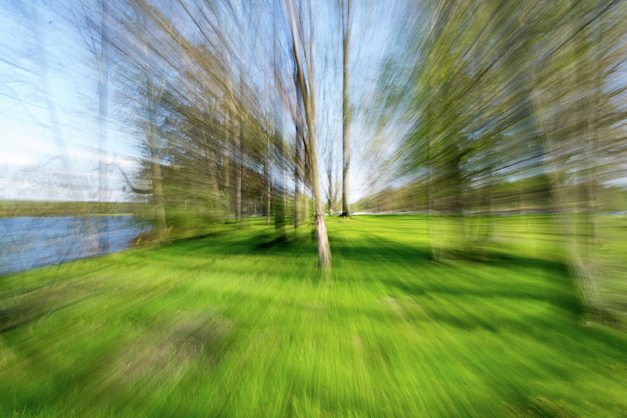Trees Movement Photograph by Michael Hills
