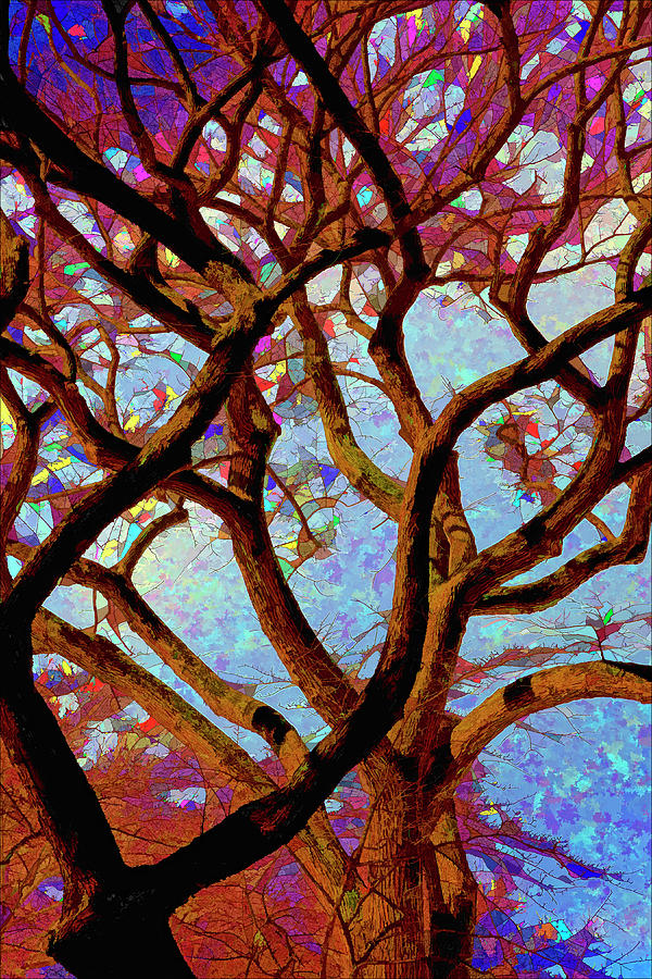 Trees of Another Color Digital Art by Robert Ullmann