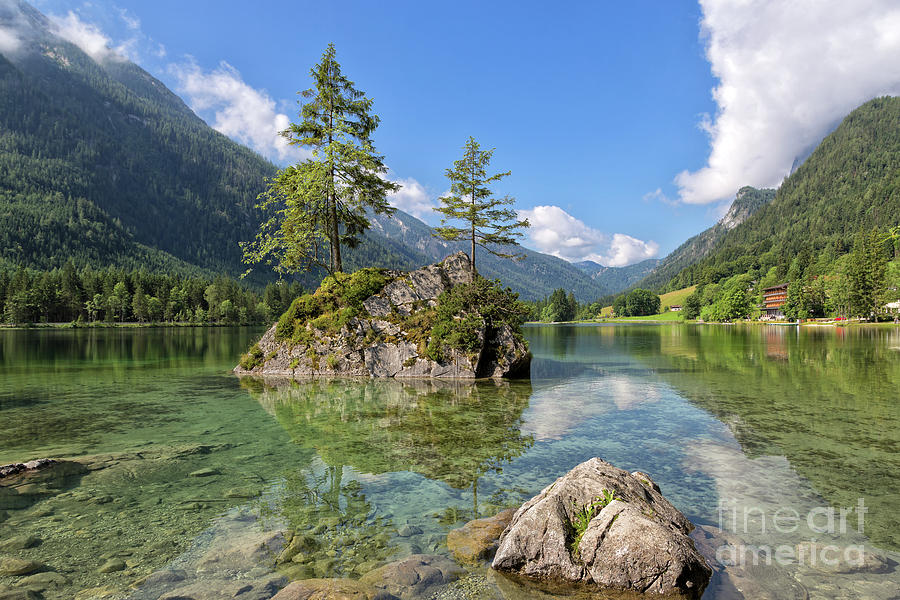 Tree Photograph - Trees on a Rock, Hintersee by Yair Karelic