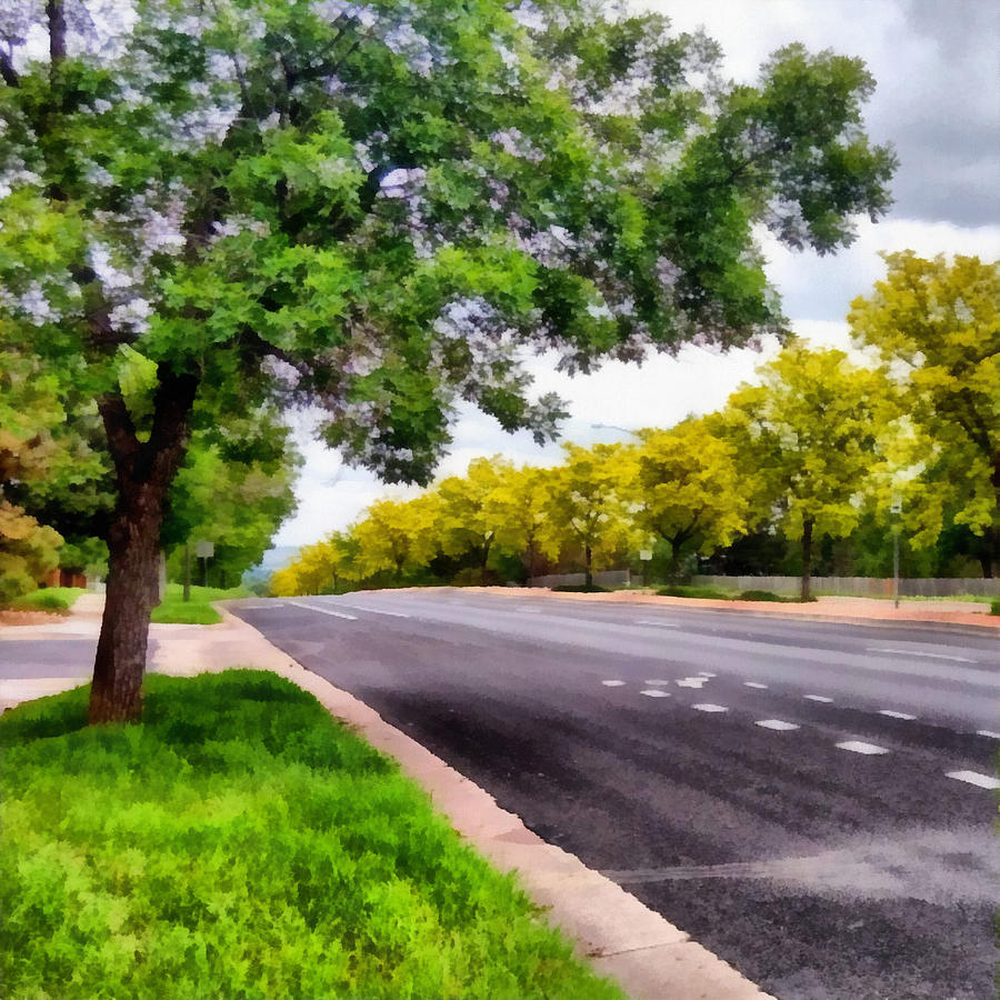 Trees on both sides of a road Photograph by Ashish Agarwal