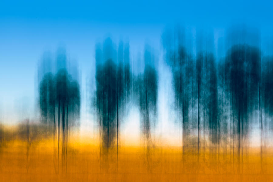 Trees on dusk Photograph by Nilesh Bhange Trees on dusk Photograph by Nilesh Bhange