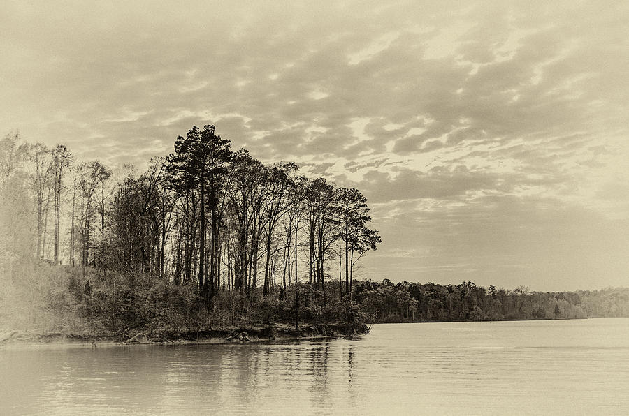 Trees on the Banks of Falls Lake Photograph by Anthony Doudt