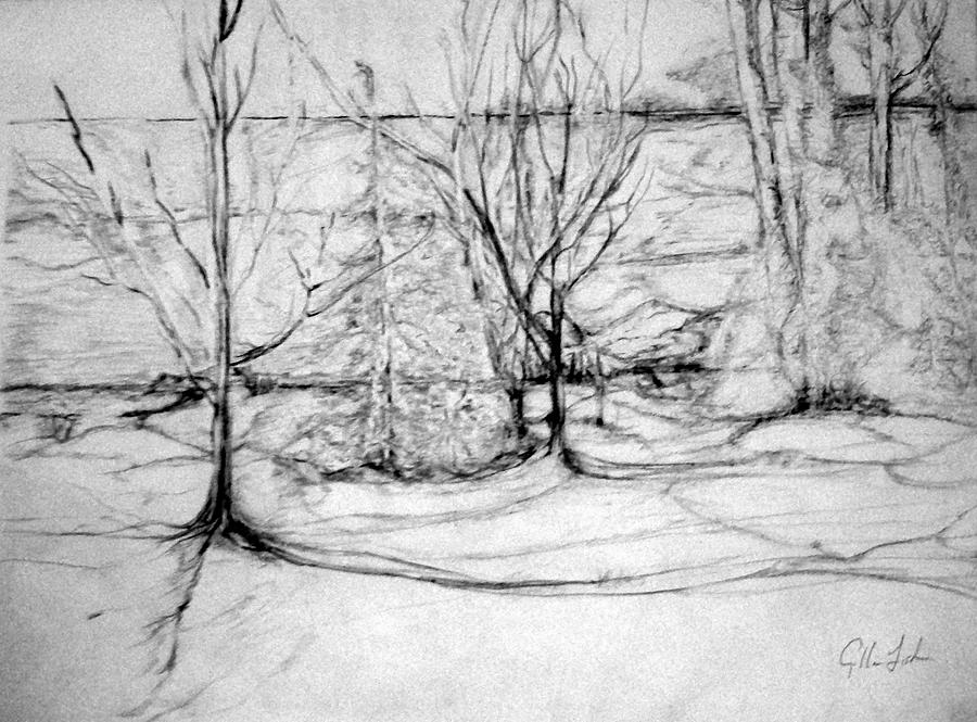 Trees On The Bluff Drawing by Gillian Fisher Pixels