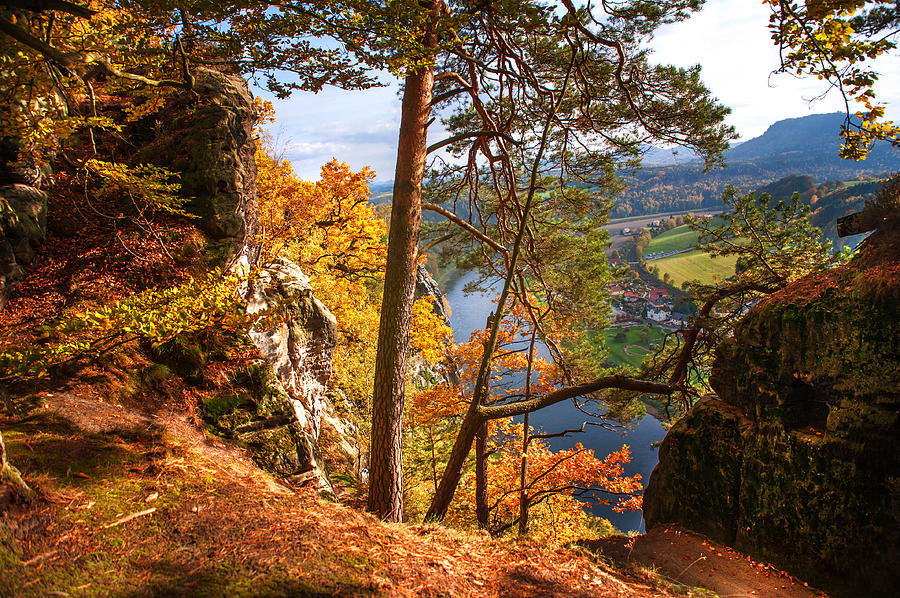 Trees on the Edge. Saxon Switzerland Photograph by Jenny Rainbow