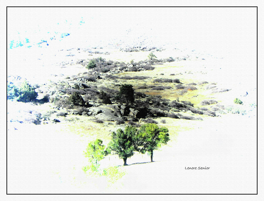 Trees on the Hill Photograph by Lenore Senior