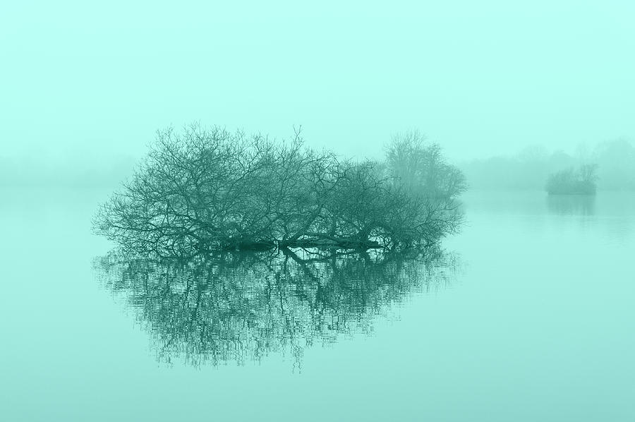 Trees on the lake in Muted tones of blue. Photograph by John Paul Cullen