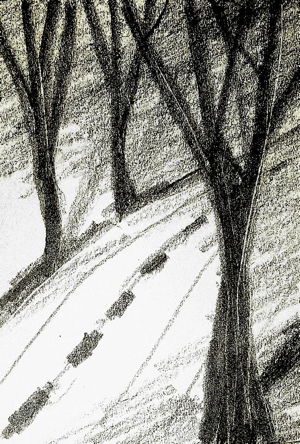 Trees pc Drawing by Hae Kim