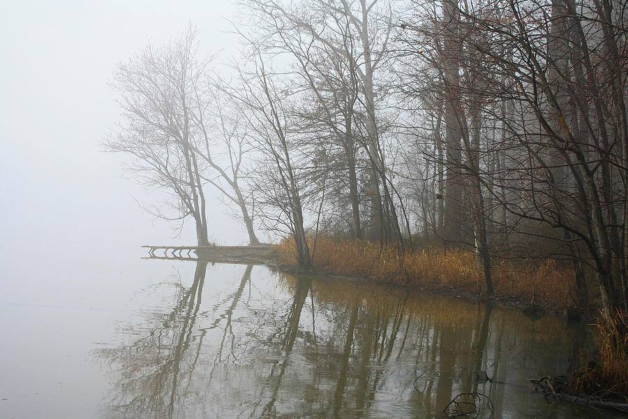 Trees Reflected On Bond Lake Photograph