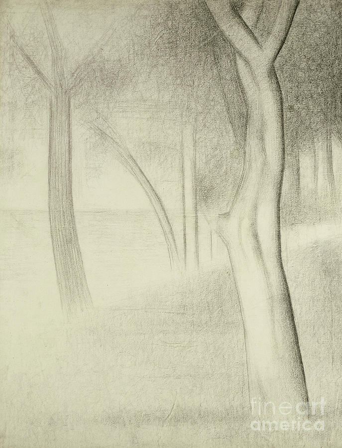 Georges Pierre Seurat Drawing - Trees  Study for La Grande Jatte by Georges Pierre Seurat