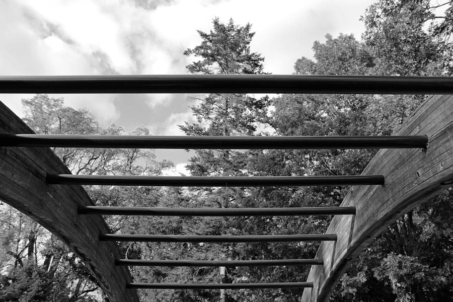 Trees And Sky Through Bars -- 2 Photograph by Cora Wandel