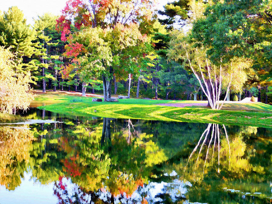 Trees with mirror lake 1 Painting by Jeelan Clark