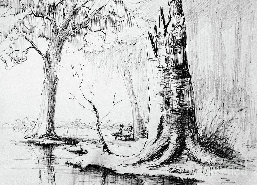 Treescape 1 Drawing by Anthony Vandyk - Fine Art America