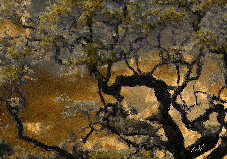 Treetop Sunset Digital Art by Jim Pavelle
