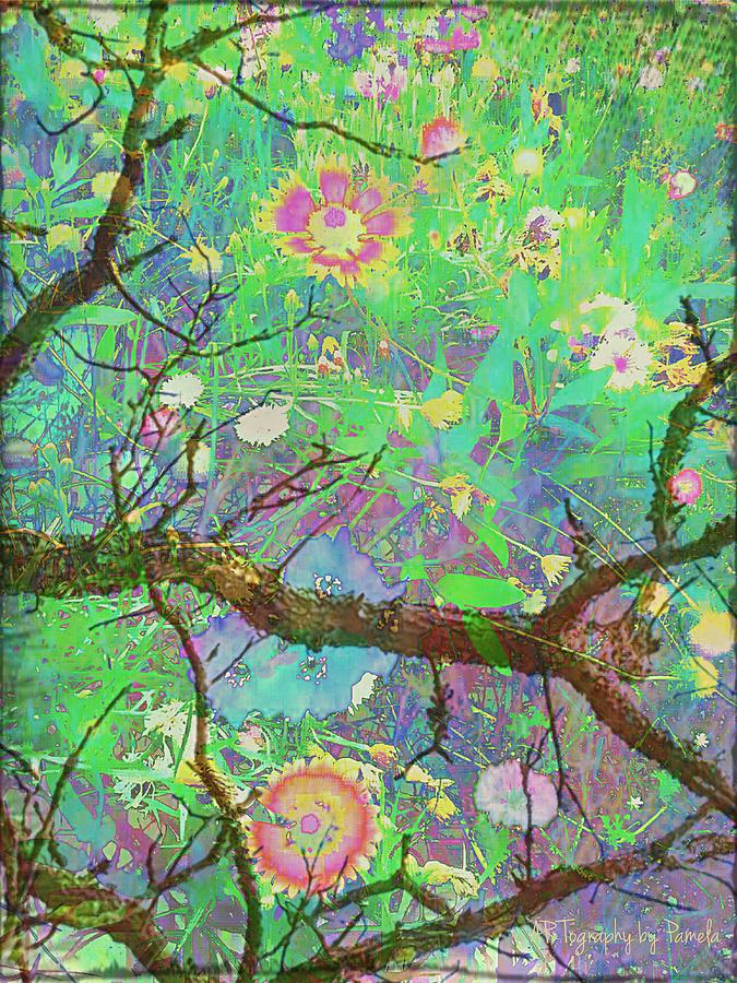 Treetop View Of A Forest Floor Digital Art by Pamela Smale Williams