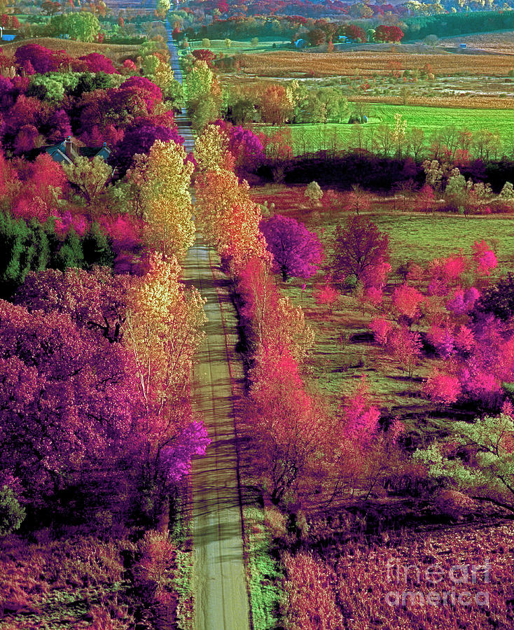 Tree top view of a Illinois country road fall Photograph by Tom Jelen