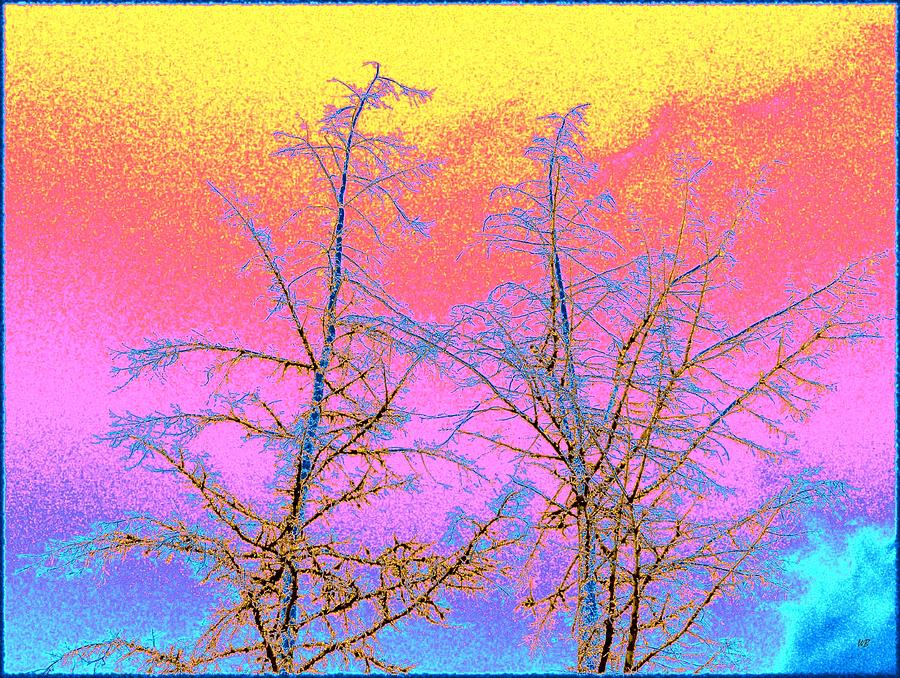 Treetops 1 Digital Art by Will Borden
