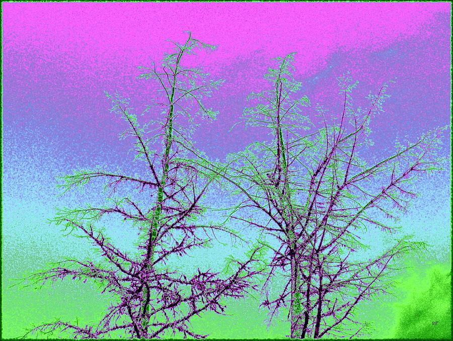 Treetops 5 Digital Art by Will Borden
