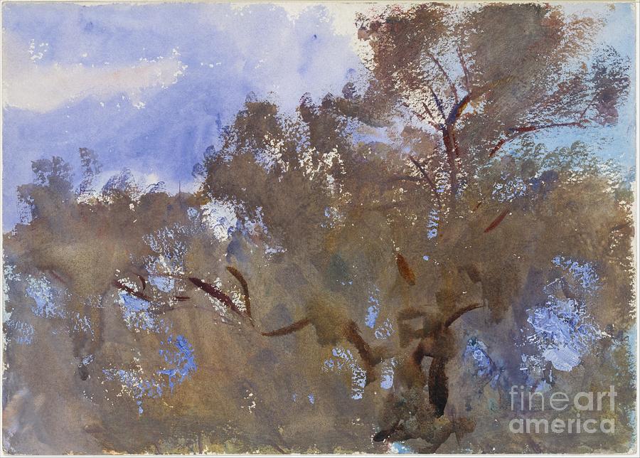 John Singer Sargent Painting - Treetops against Sky by Celestial Images
